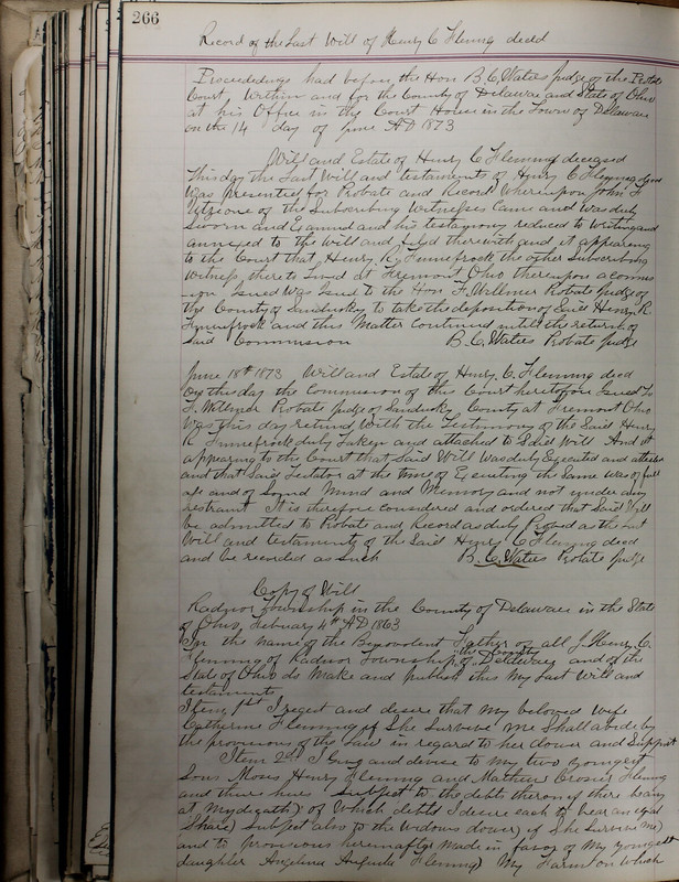 Delaware County Ohio Will Records Vol. 5 1869-1876 (p. 299)