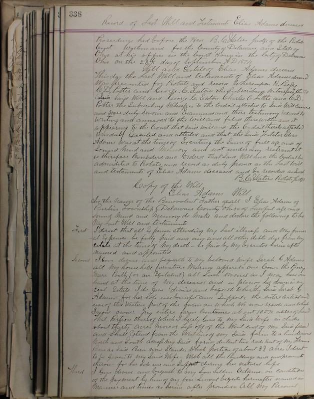 Delaware County Ohio Will Records Vol. 5 1869-1876 (p. 371)