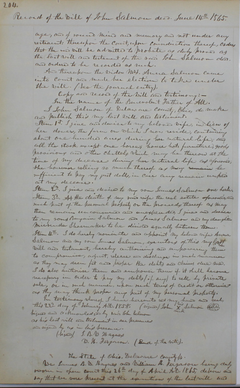 Delaware County Ohio Will Records Vol. 4 1859-1869 (p. 236)