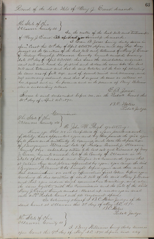 Delaware County Ohio Will Records Vol. 5 1869-1876 (p. 96)