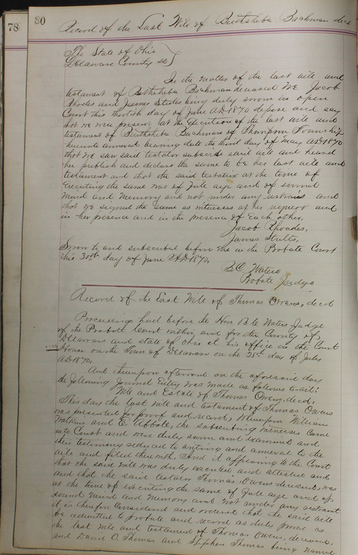 Delaware County Ohio Will Records Vol. 5 1869-1876 (p. 113)