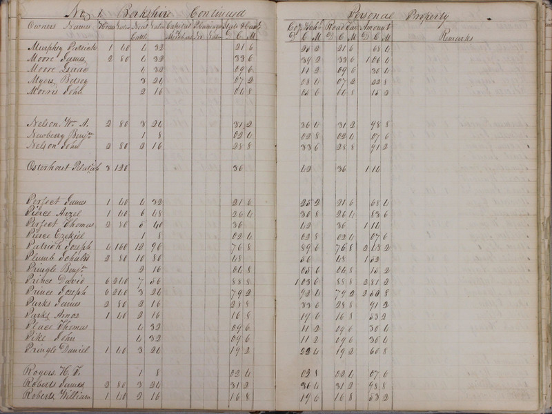 Delaware County Tax Duplicate 1828 Part 1 (p. 17)