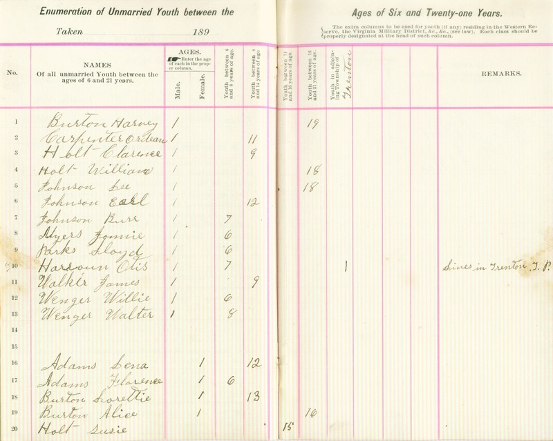 Harlem Township Enumeration of Youth Sub-District 2, July 25th, 1896 (p. 4)