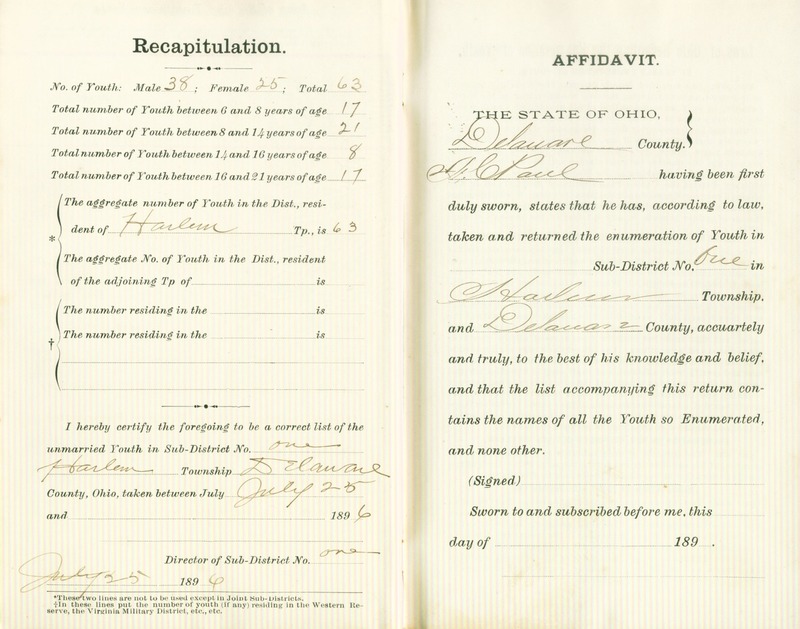 Harlem Township Enumeration of Youth Sub-District 1, July 25th, 1896 (p. 8)