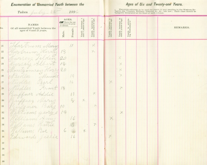 Harlem Township Enumeration of Youth Sub-District 4, July 22nd, 1896 (p. 5)