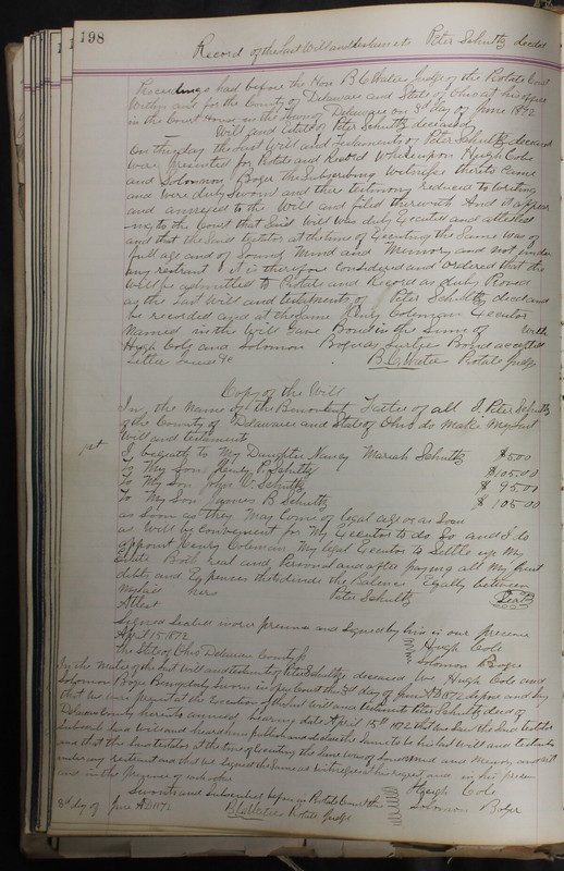 Delaware County Ohio Will Records Vol. 5 1869-1876 (p. 231)