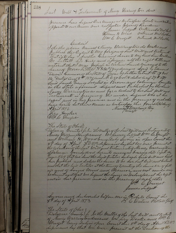 Delaware County Ohio Will Records Vol. 5 1869-1876 (p. 291)