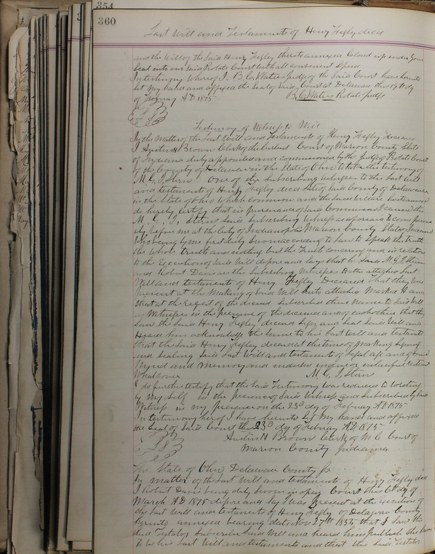 Delaware County Ohio Will Records Vol. 5 1869-1876 (p. 393)