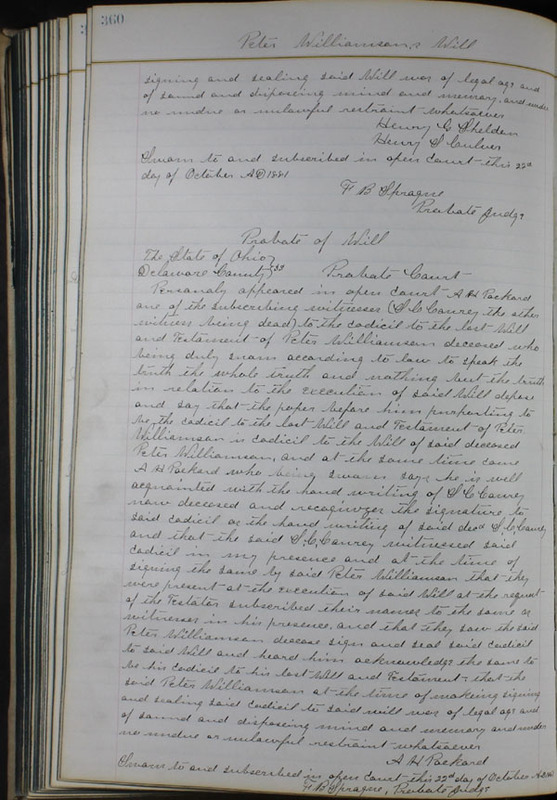 Delaware County Ohio Will Records Vol. 6 1876-1883 (p. 415)