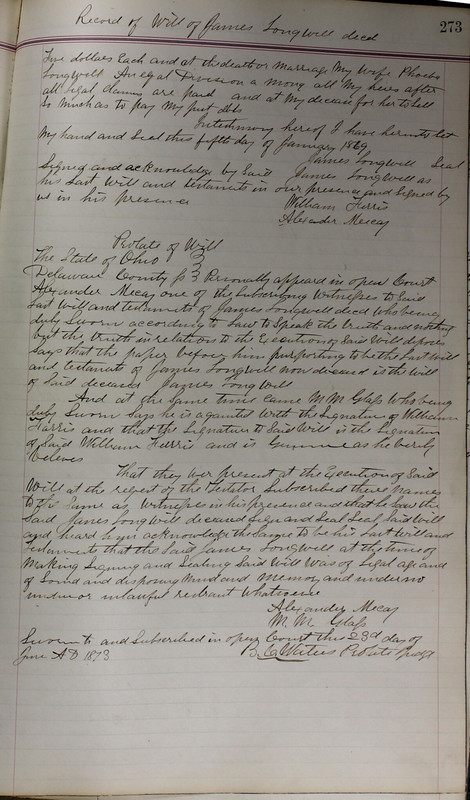 Delaware County Ohio Will Records Vol. 5 1869-1876 (p. 306)