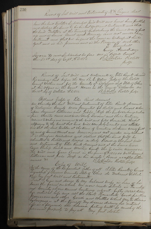 Delaware County Ohio Will Records Vol. 5 1869-1876 (p. 263)