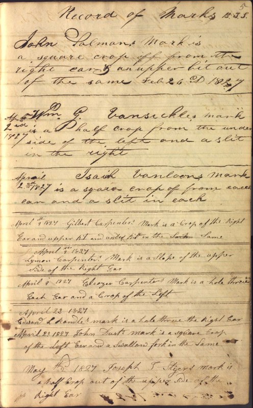 Record Book of Berkshire Township No. 2 1807-1843 (p. 11)