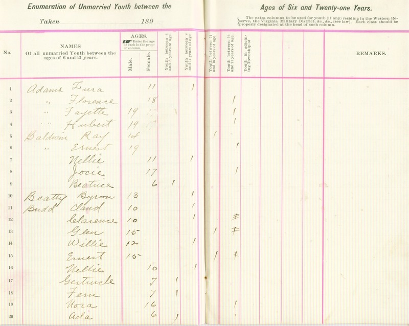 Harlem Township Enumeration of Youth Sub-District 1, July 25th, 1896 (p. 4)