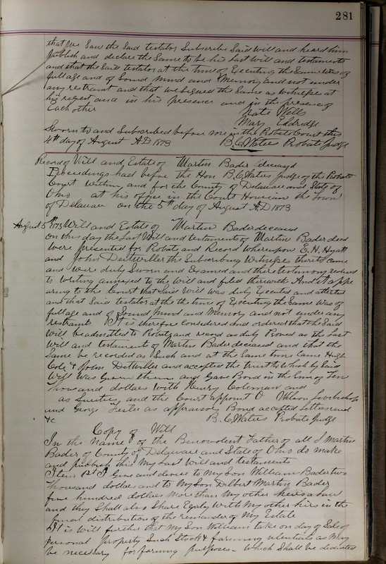 Delaware County Ohio Will Records Vol. 5 1869-1876 (p. 314)