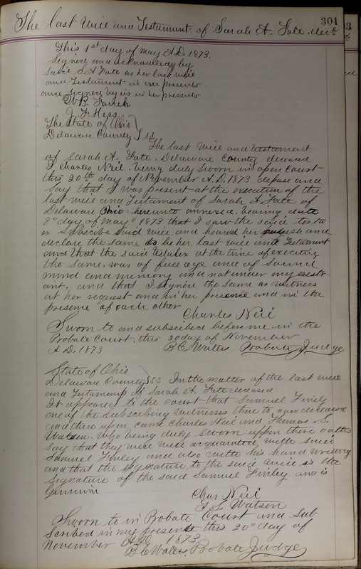 Delaware County Ohio Will Records Vol. 5 1869-1876 (p. 334)