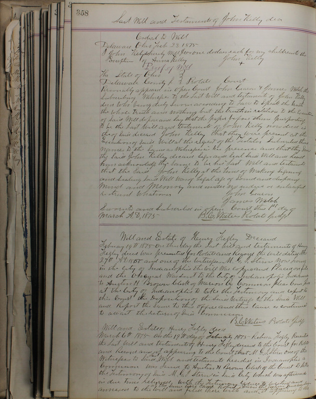 Delaware County Ohio Will Records Vol. 5 1869-1876 (p. 391)