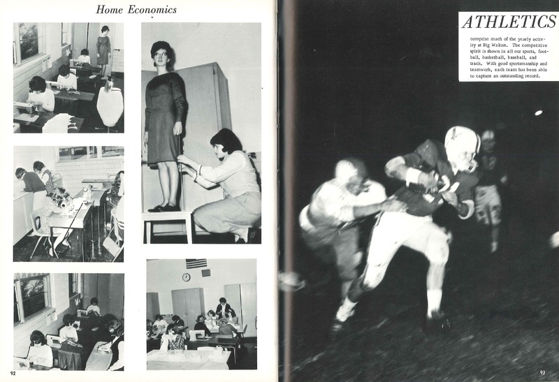 Big Walnut High School Year Book. 1966:The Flame(49)