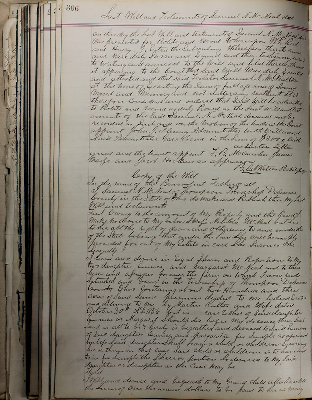 Delaware County Ohio Will Records Vol. 5 1869-1876 (p. 339)