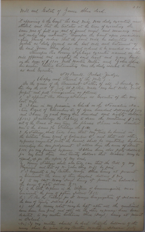 Delaware County Ohio Will Records Vol. 4 1859-1869 (p. 313)