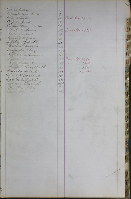 Delaware County Ohio Will Records Vol. 6 1876-1883 (p. 13)