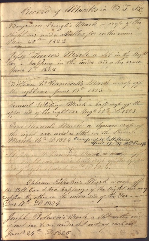 Record Book of Berkshire Township No. 2 1807-1843 (p. 9)